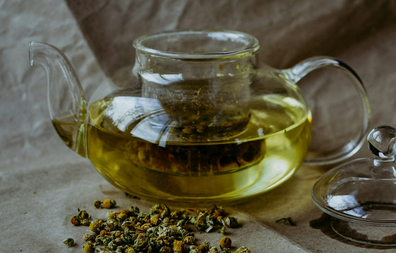 Té, infusión, plantas, hierbas, medicinal. Foto: Unsplash