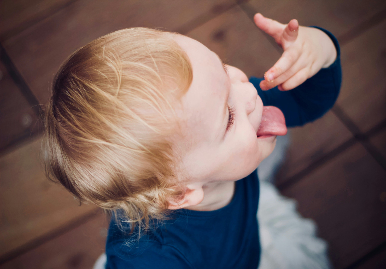 Lengua. Foto: Unsplash