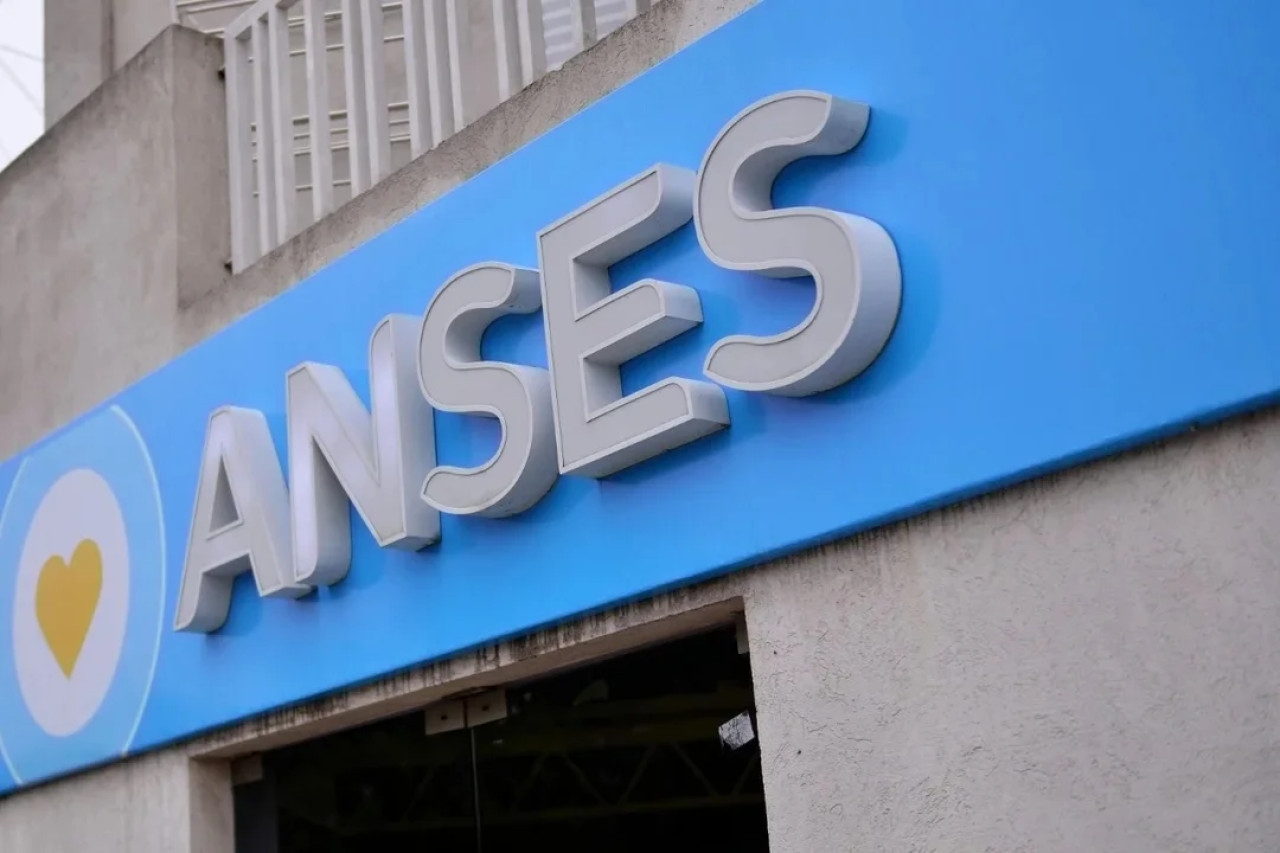 ANSES. Foto: NA