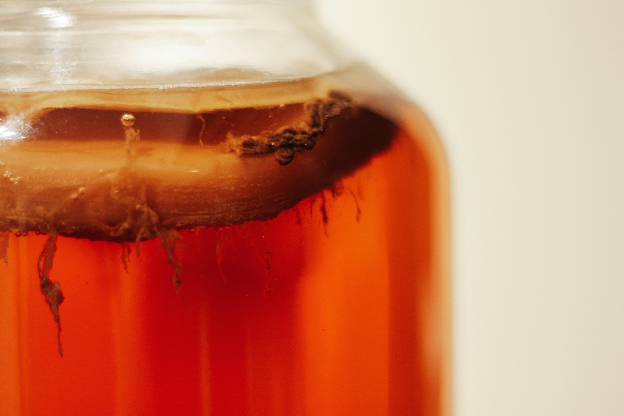 Kombucha. Foto: Unsplash