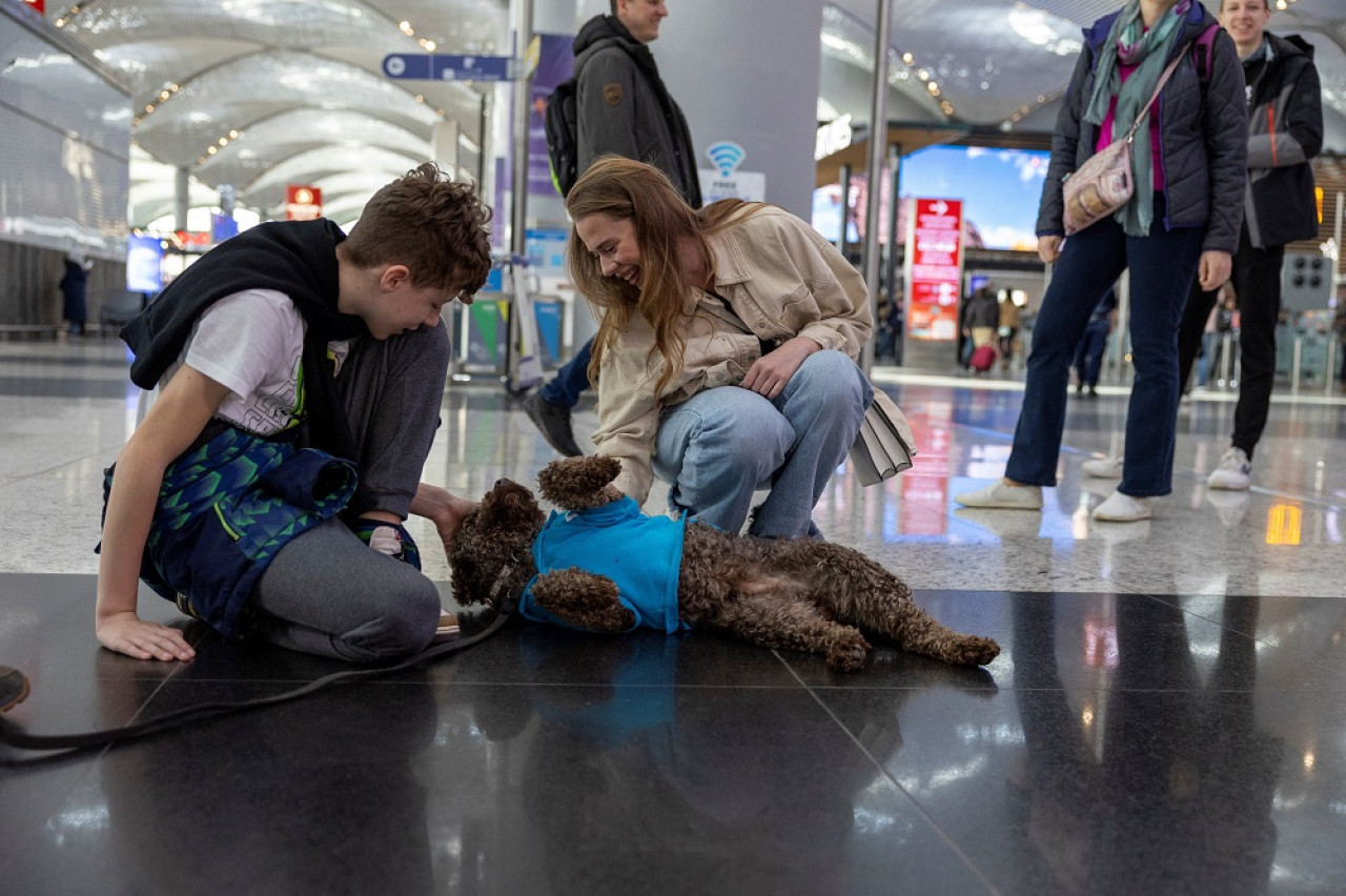 El Aeropuerto de Estambul incorporó a un equipo de perros de terapia. Foto: Reuters.