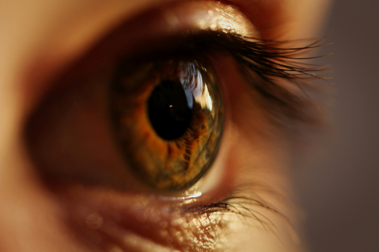 Anteojos, visión. Foto: Unsplash