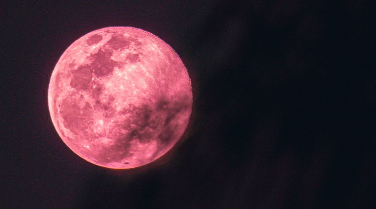 Luna rosa. Foto: Unsplash.