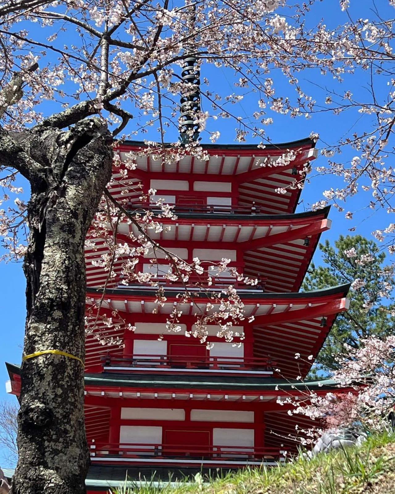 Las vacaciones de Natalia Oreiro en Japón. Foto Instagram.