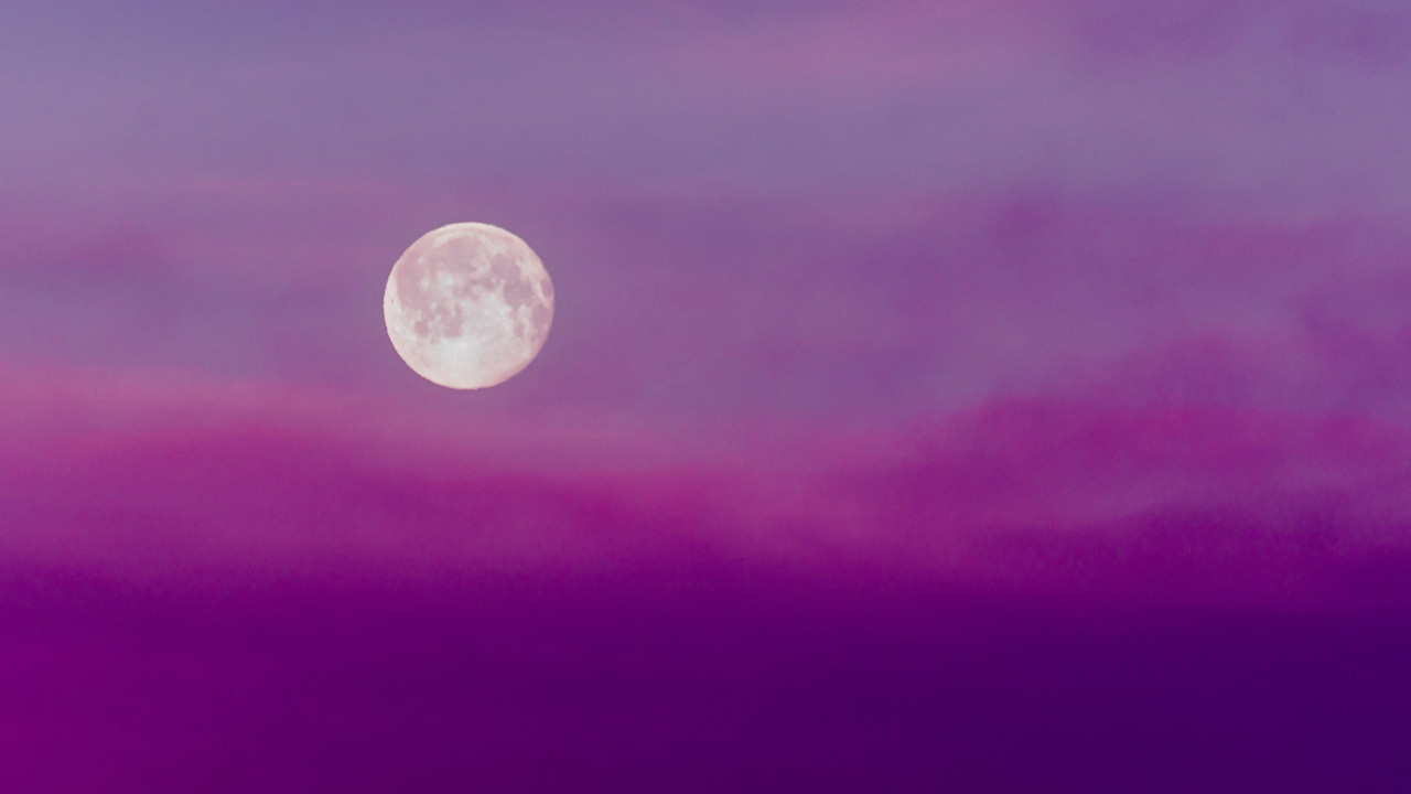 Luna Rosa. Foto: Unsplash