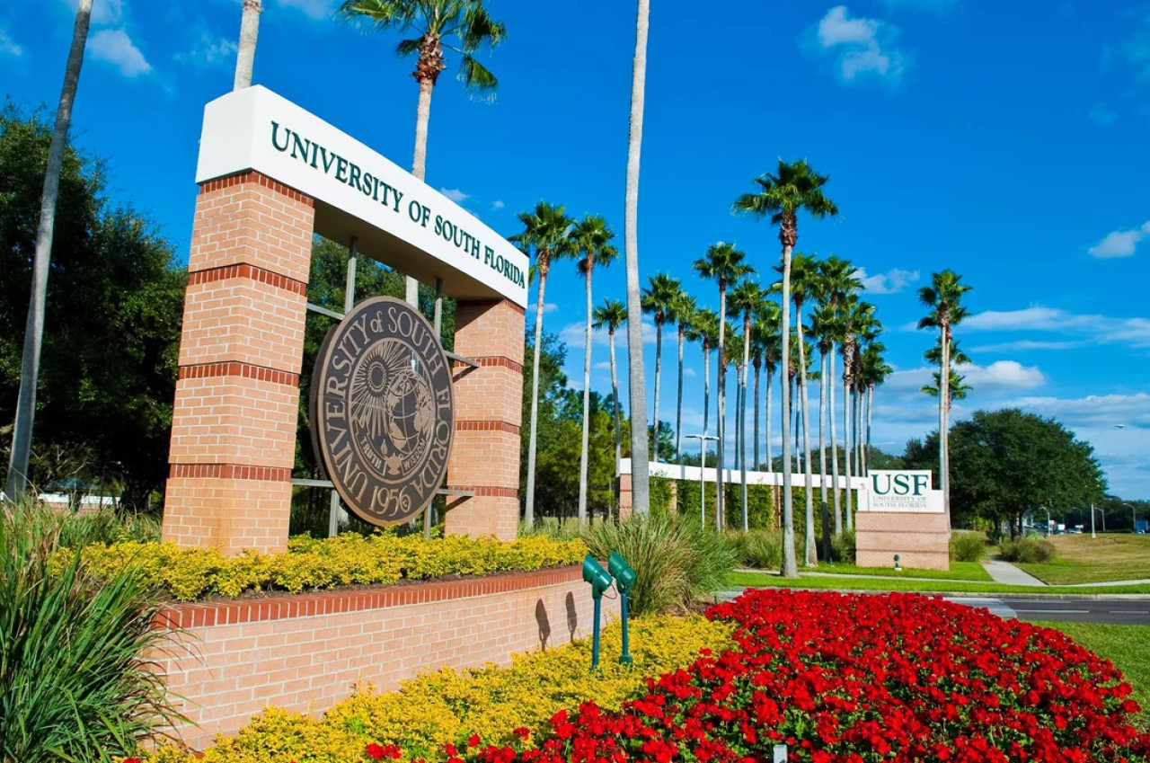 Universidad del Sur de Florida (USF). Foto: NA.