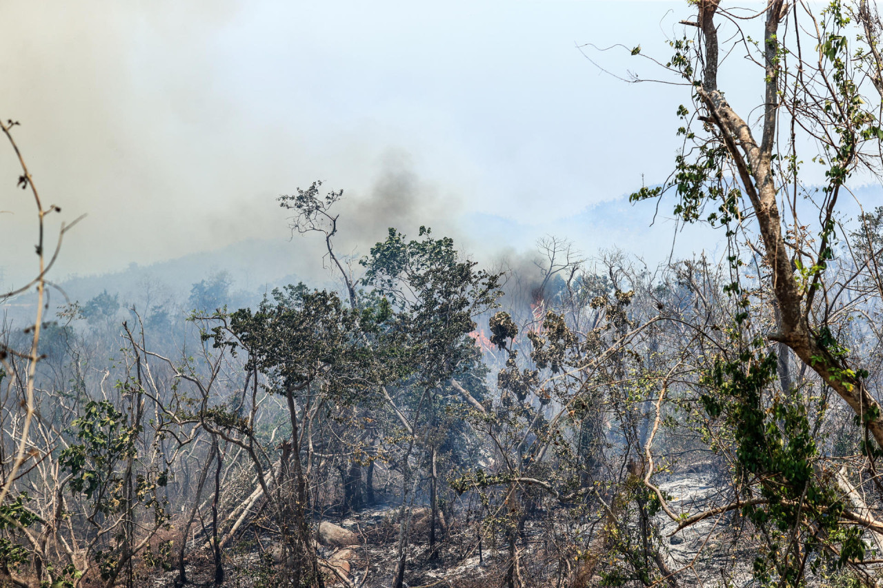 Incendios forestales azotan a la ciudad mexicana de Acapulco. Foto EFE.