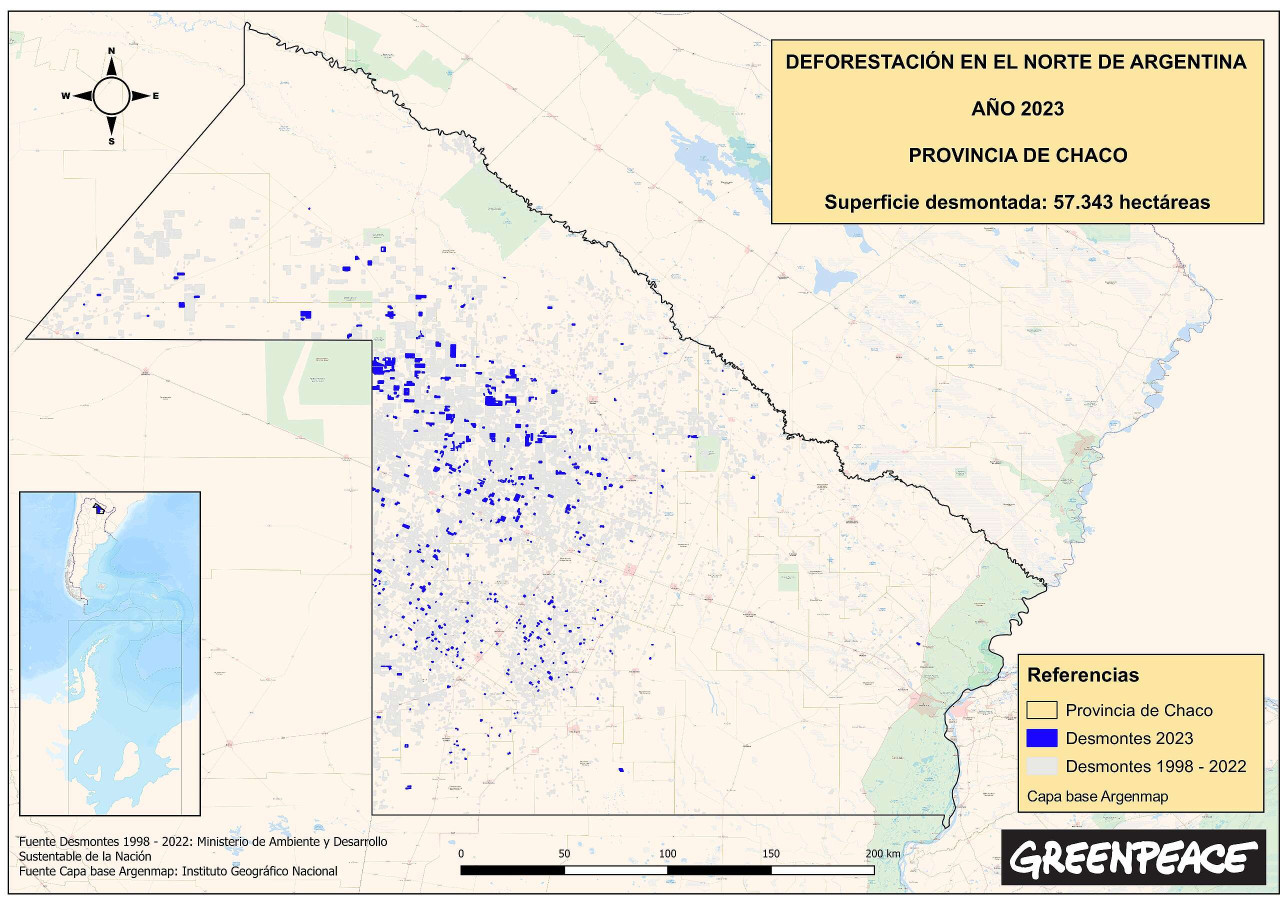 Deforestación y desmonte en Chaco. Foto: Greenpeace.