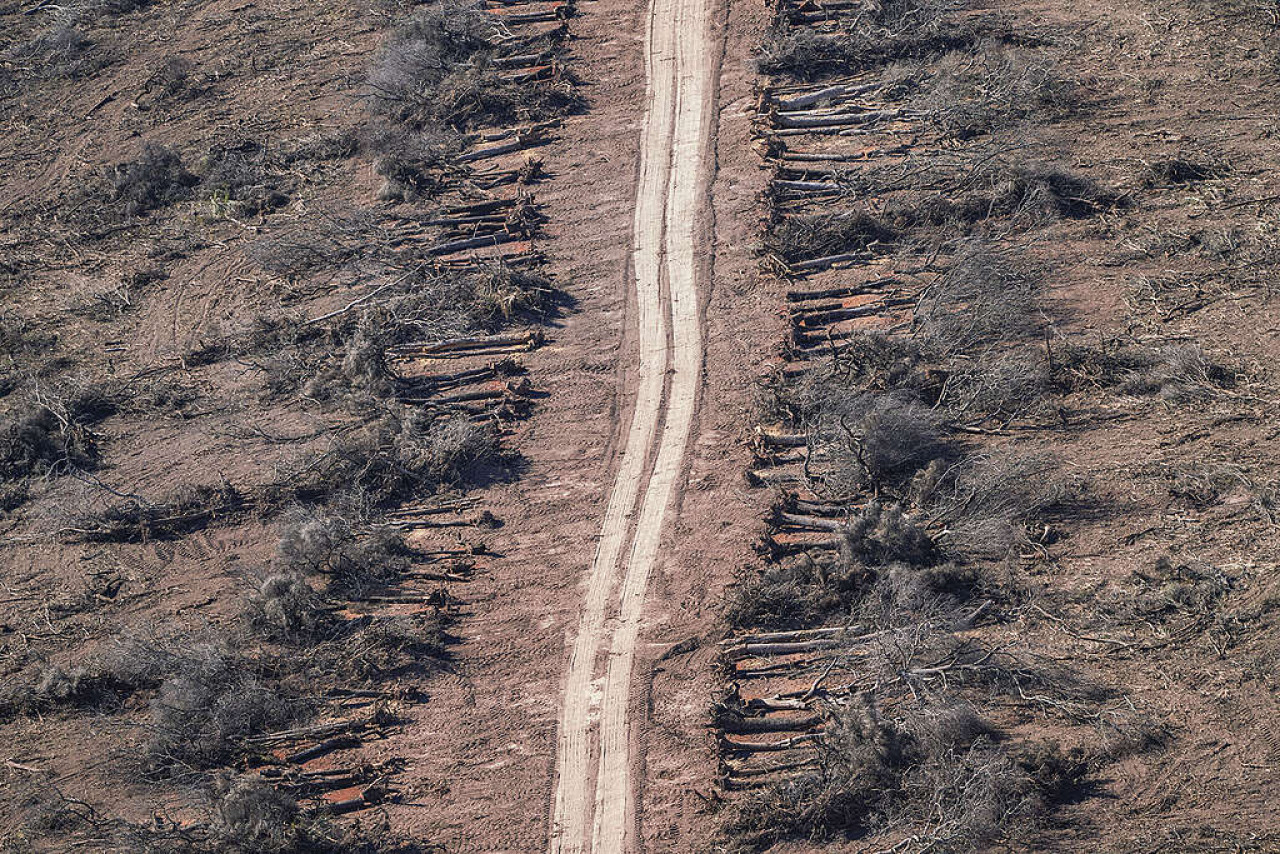 Deforestación y desmonte en Chaco. Foto: Greenpeace.