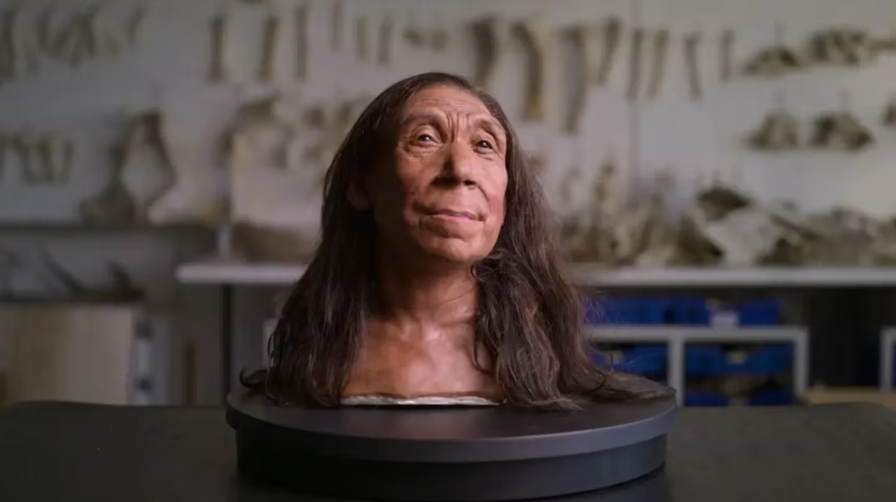 Reconstruyeron el rostro de un neandertal. Foto: CNN