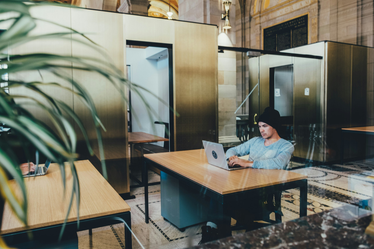 Plantas, oficina, trabajo. Foto: Unsplash