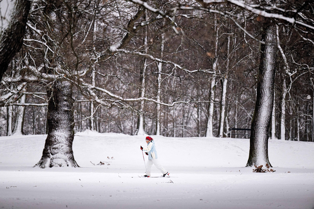 Nieve. Foto: NA.