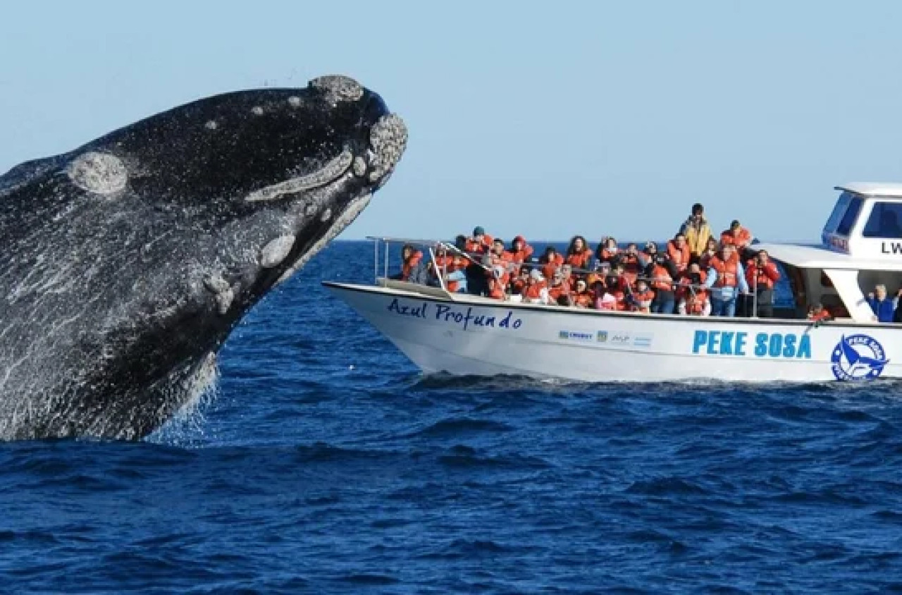 Temporada de ballenas. Foto NA.