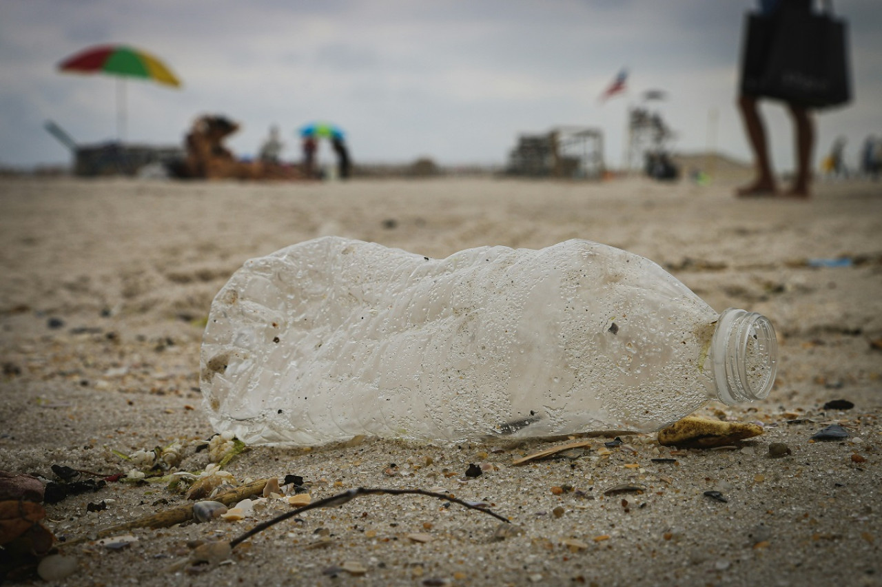 Reciclaje; plástico; botella. Foto: Unsplash.