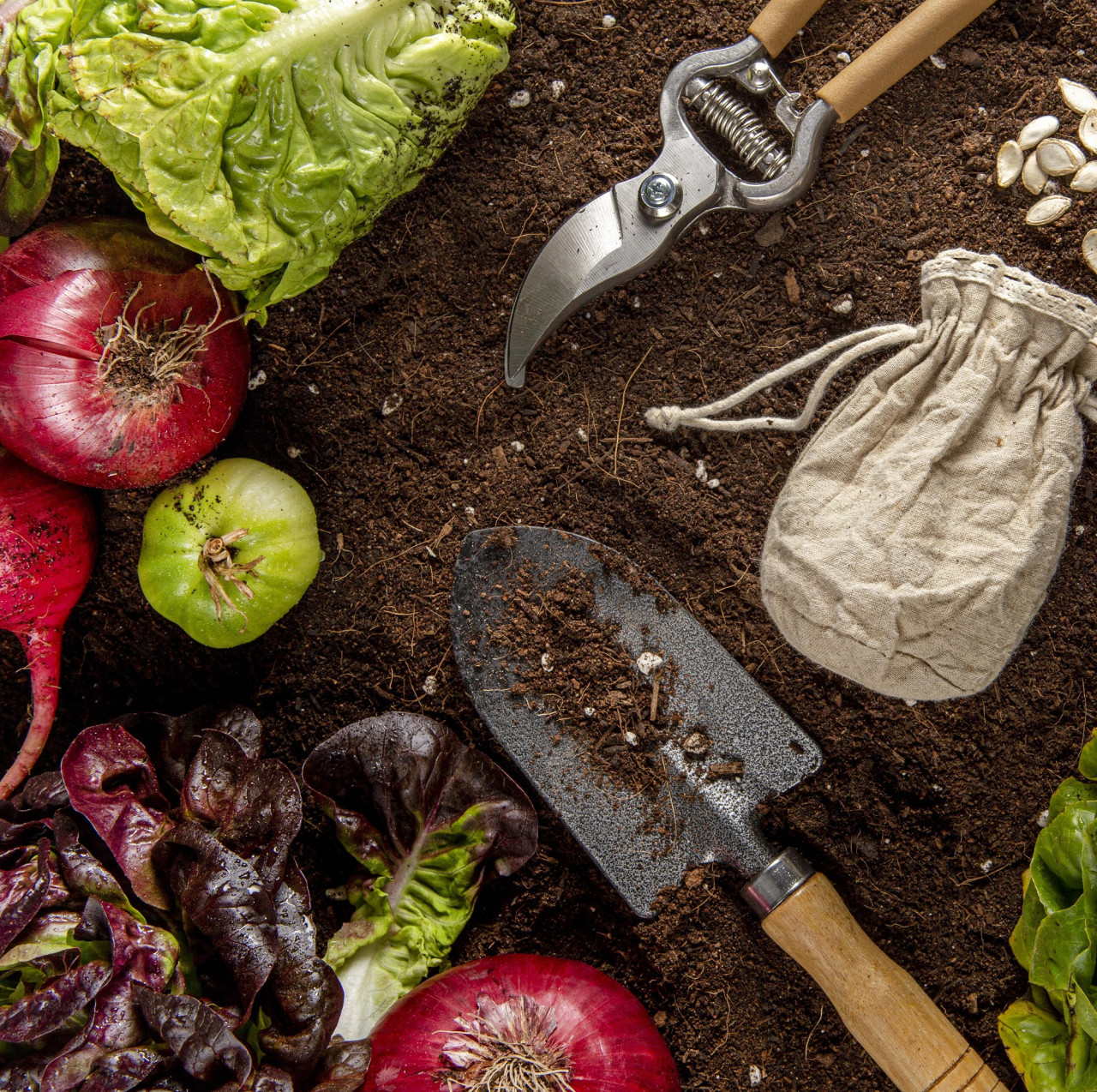 Huerta, verduras. Foto Freepik.