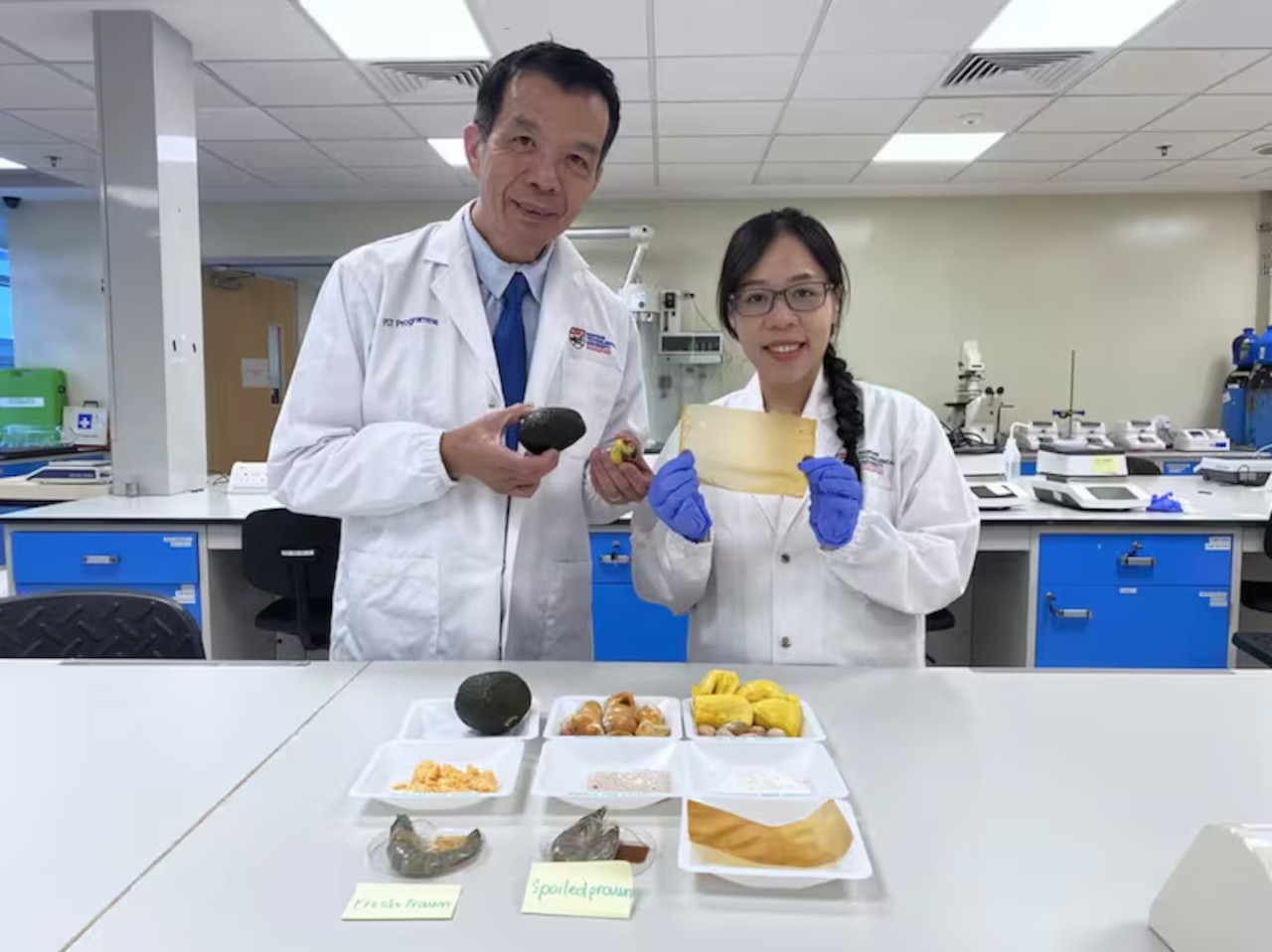 El nuevo producto que reemplaza al papel film. Foto: NTU Singapore.