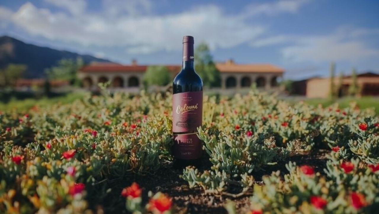 Vino de la  Bodega Colomé. Fuente: Instagram /@bodegacolome