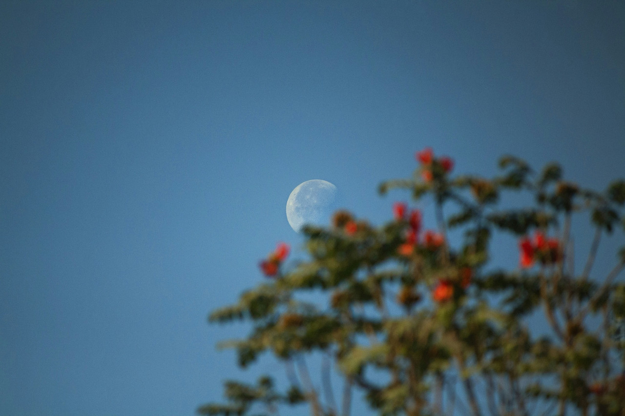 Luna, microluna. Foto Unsplash