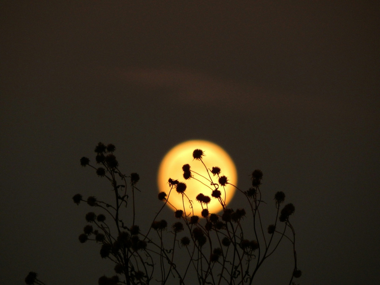 Luna, microluna. Foto Unsplash