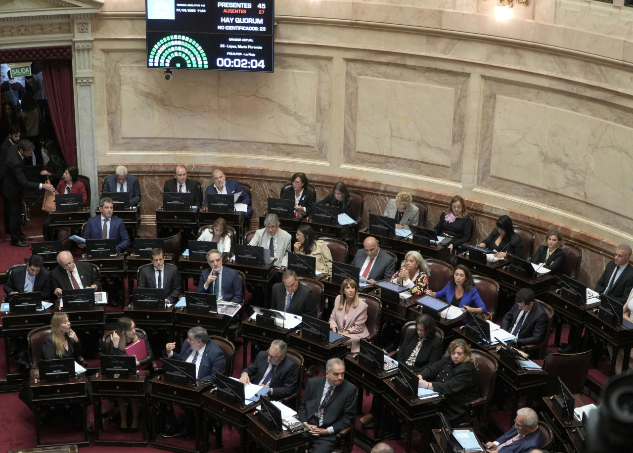 Senado. Foto: NA.