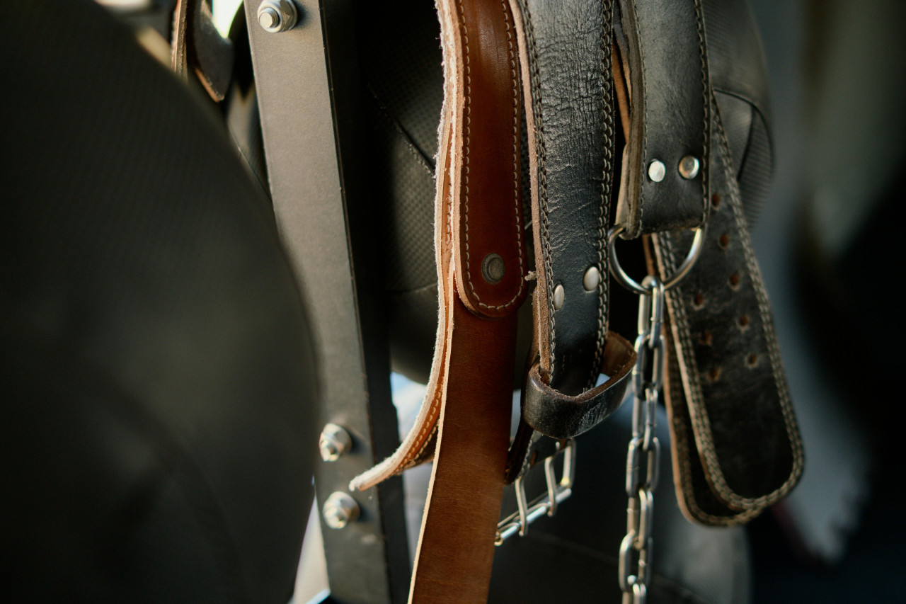 Cinturones, moda. Foto: Pexels.