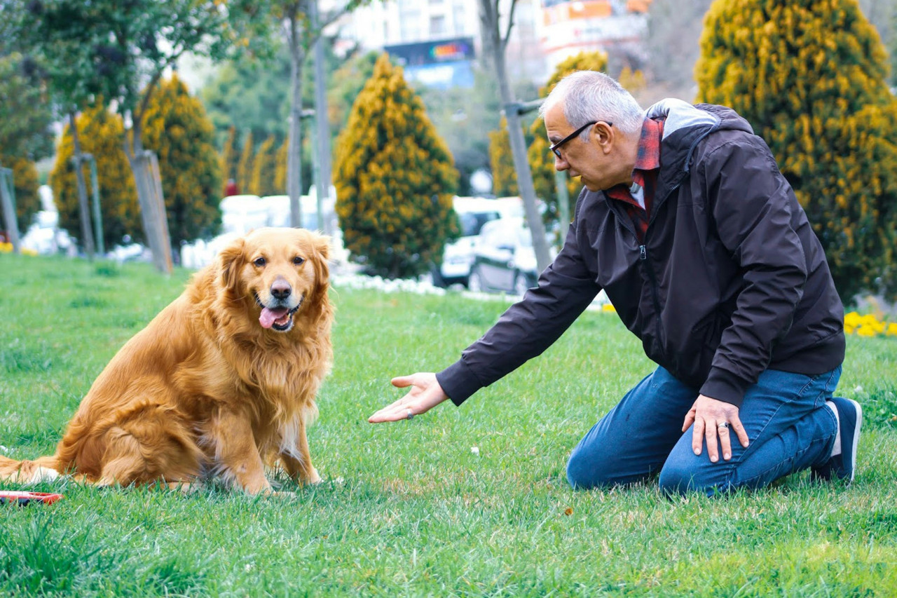 perros, adultos mayores. Fuente: Unsplash