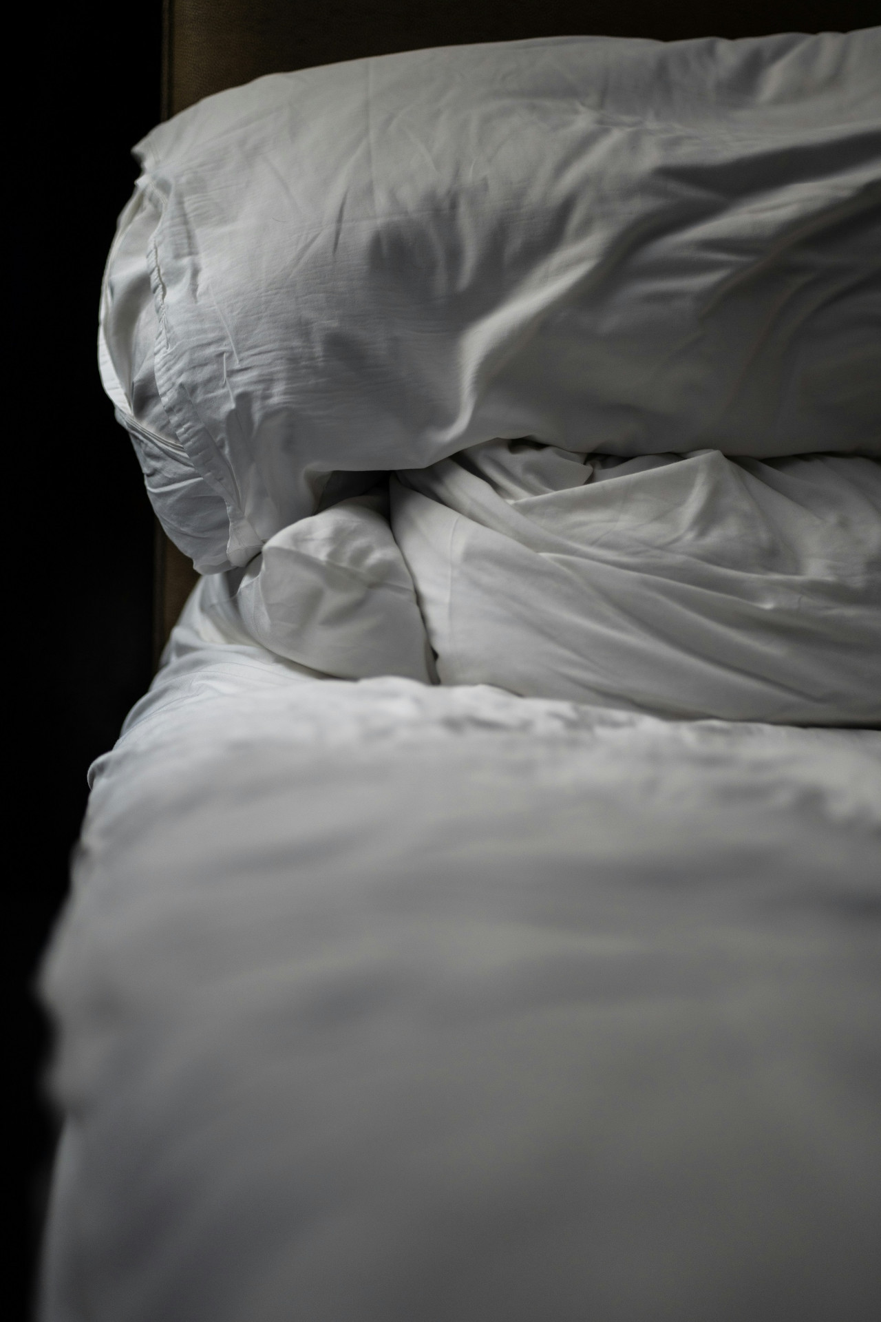 Chinche de cama. Foto Unsplash