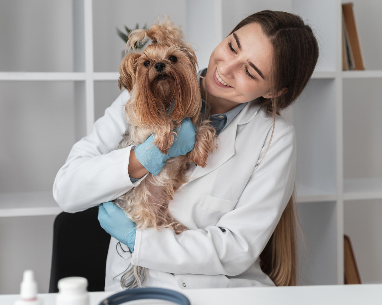 Veterinaria, animales. Foto Freepik