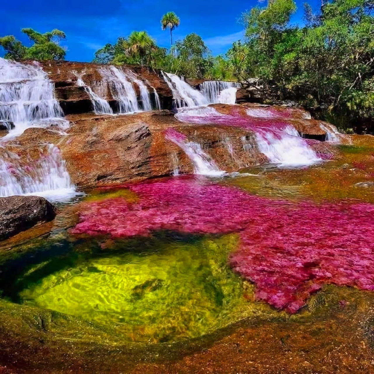 Río Caño Cristales, Colombia. Foto Instagram @rockandrollandphotos