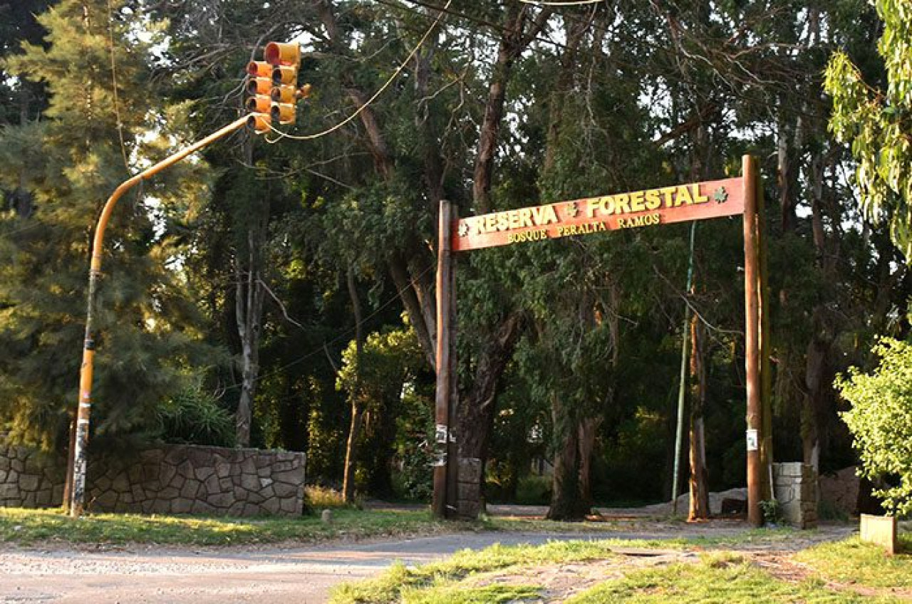 Bosque Peralta Ramos, Mar del Plata. Foto mardelplata.com