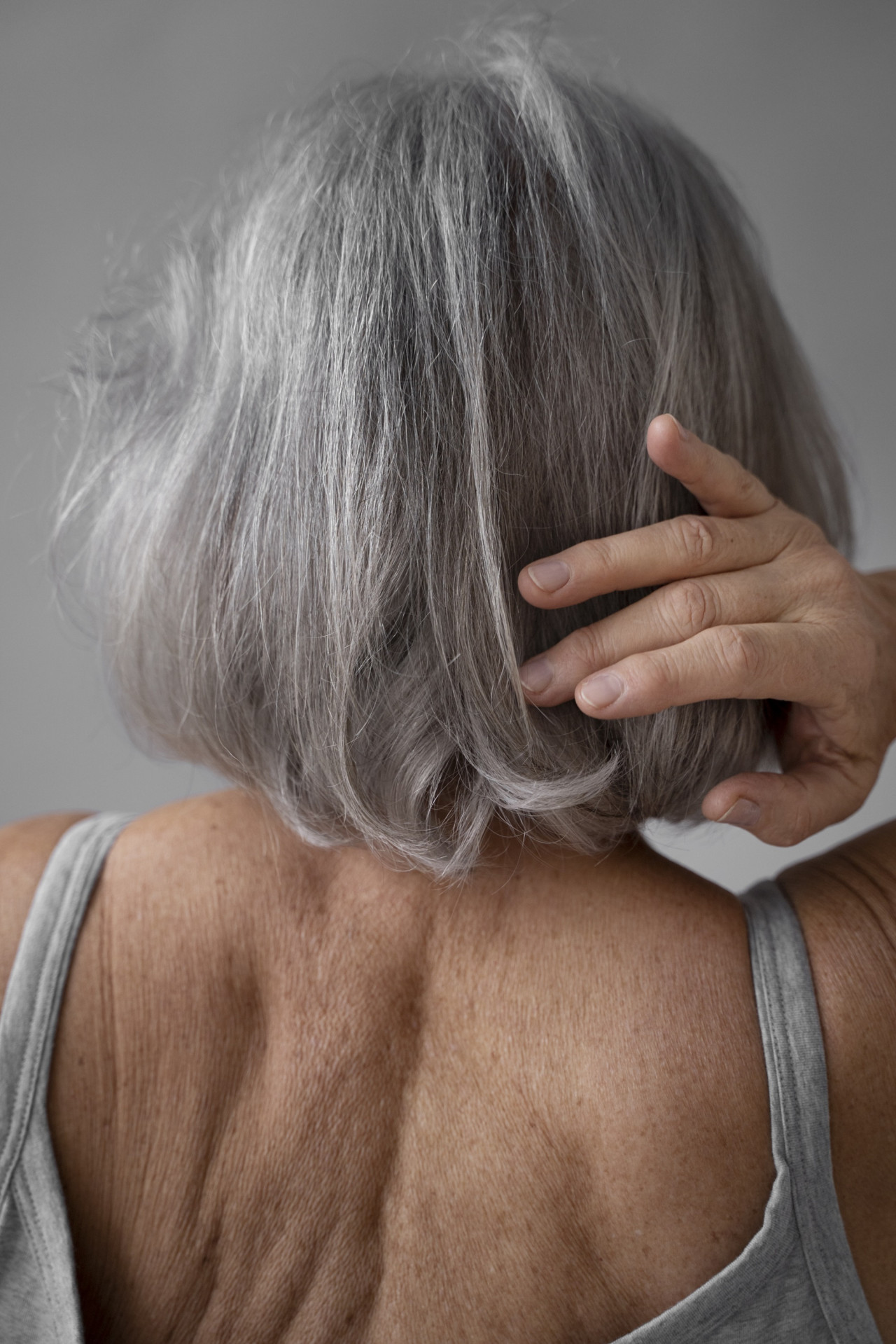 Canas. Foto Freepik