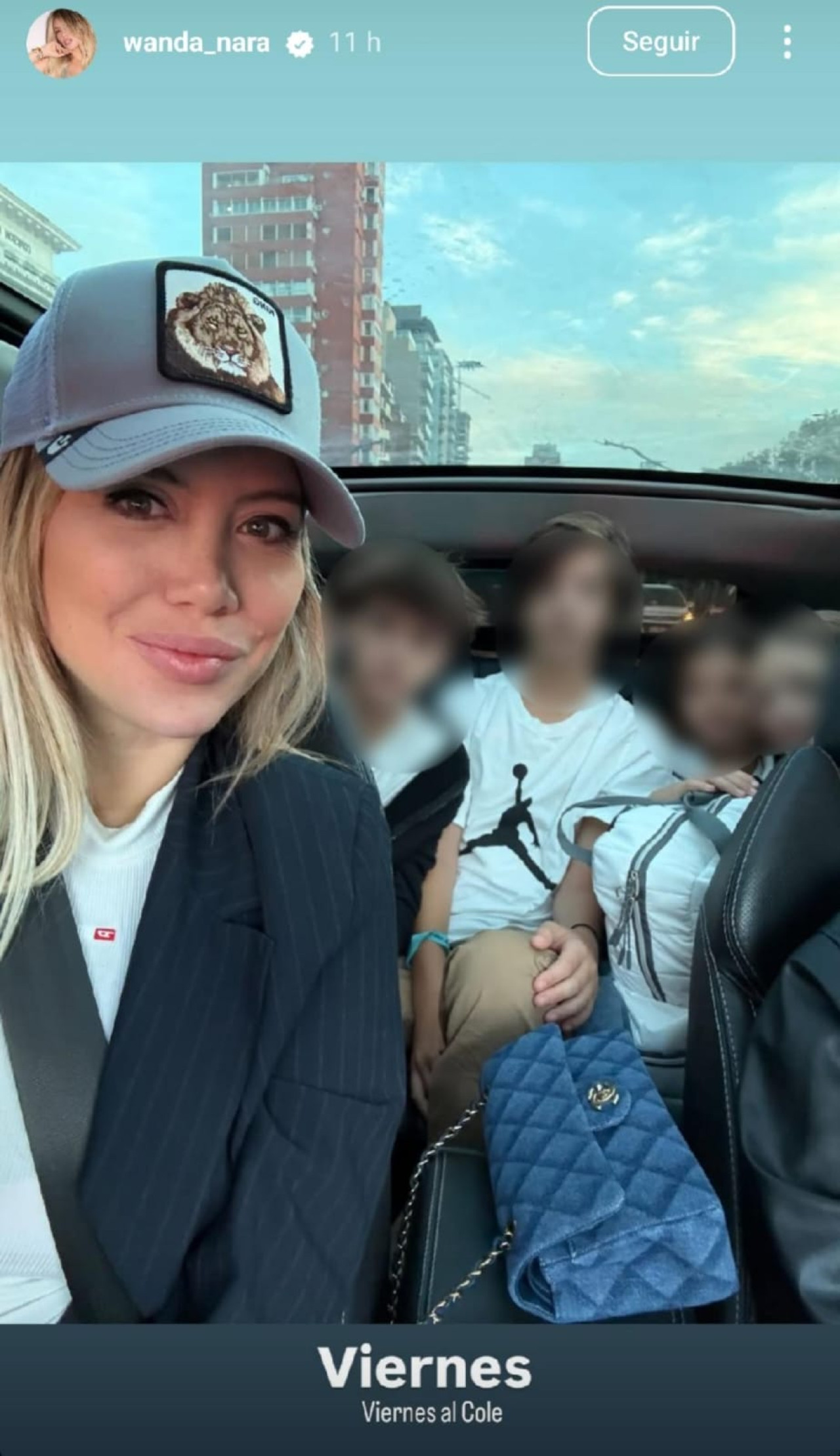 Historia de Instagram de Wanda Nara. Foto: Instagram / wanda_nara.