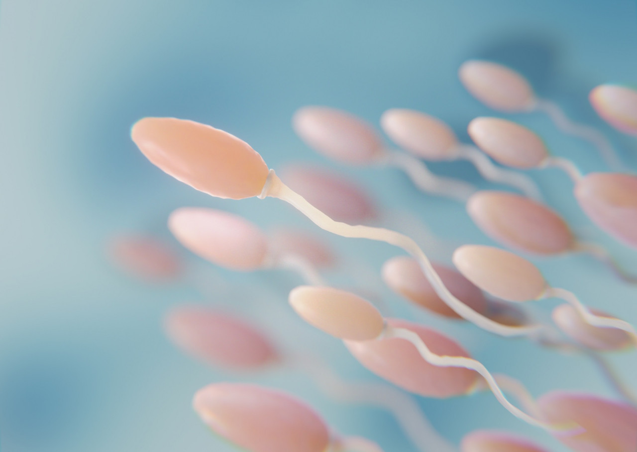 Espermatozoides. Foto FREEPIK