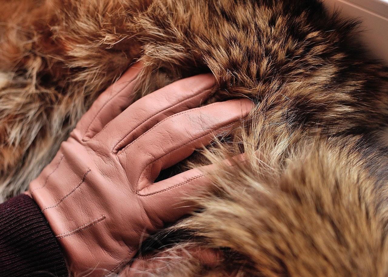 Puffer gloves. Foto: Pixabay.