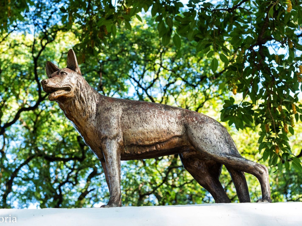 La estatua de Chonino en el predio de la Policía Montada. Foto: X/@MinSeguridad_Ar