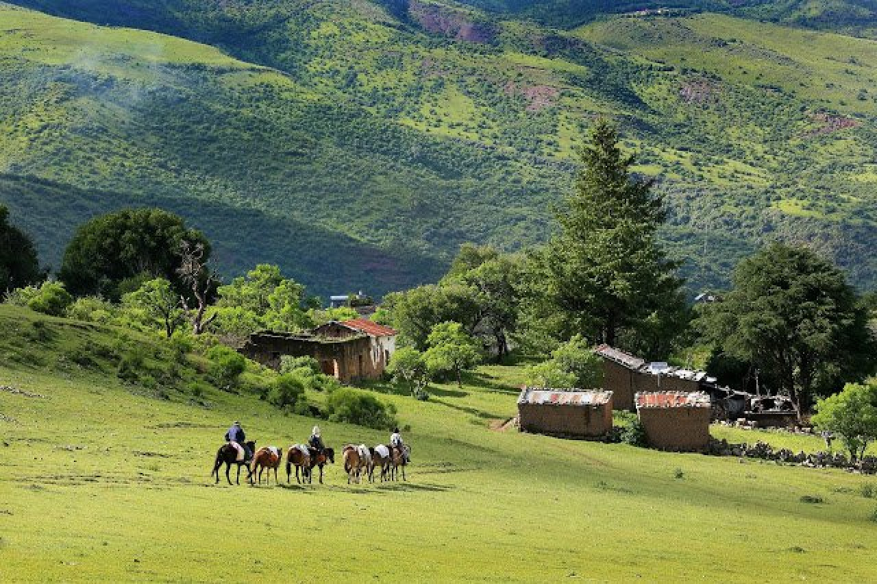 Alto Calilegua, el pueblo jujeño en el que "nacen las nubes". Foto: Fundación Pro Yungas.