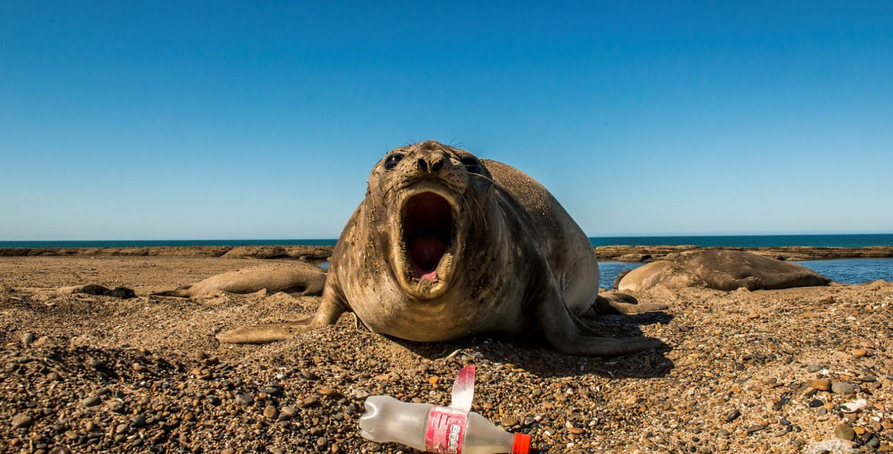Plasticósfera, un documental sobre la contaminación de plásticos y microplásticos. Foto: Sergio Izquierdo