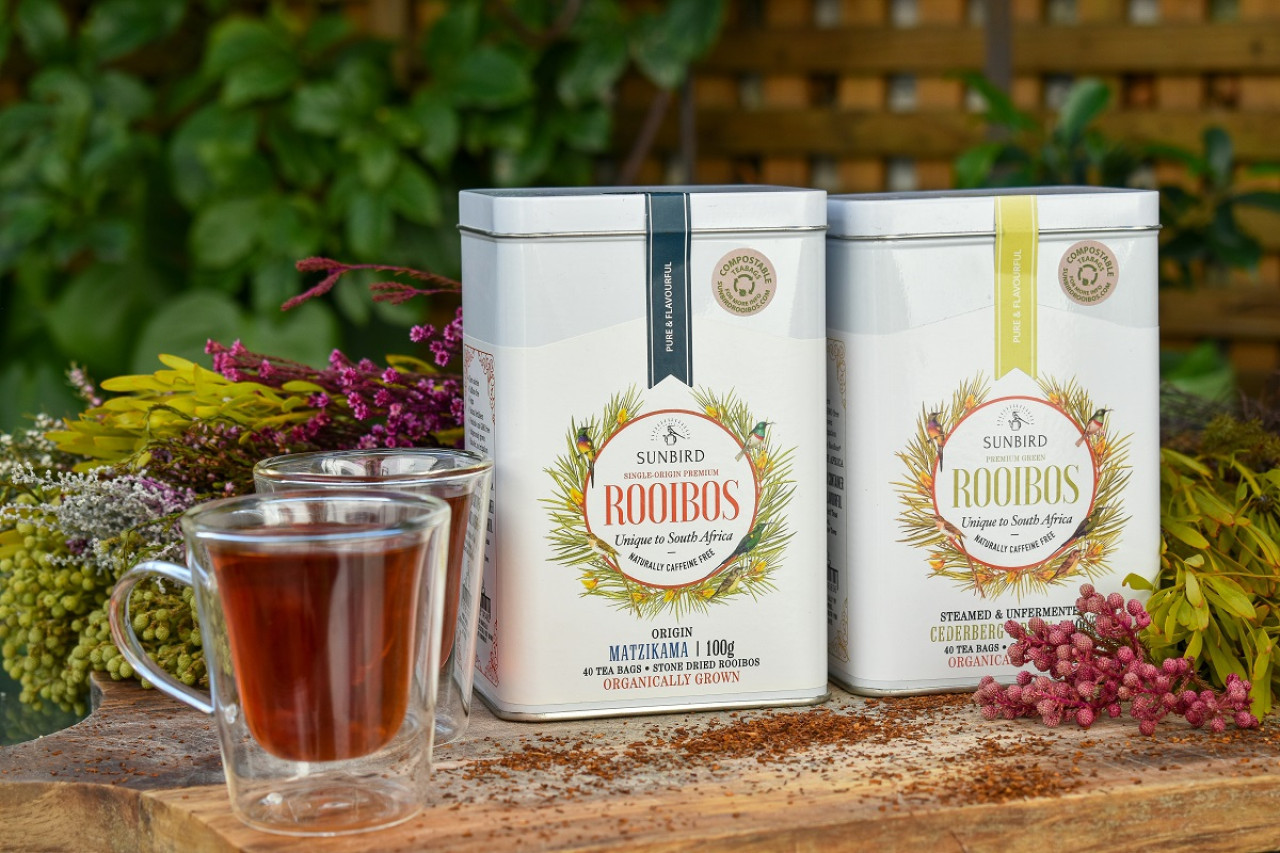 Rooibos significa "arbusto rojo" en afrikáans. Foto: Unsplash.