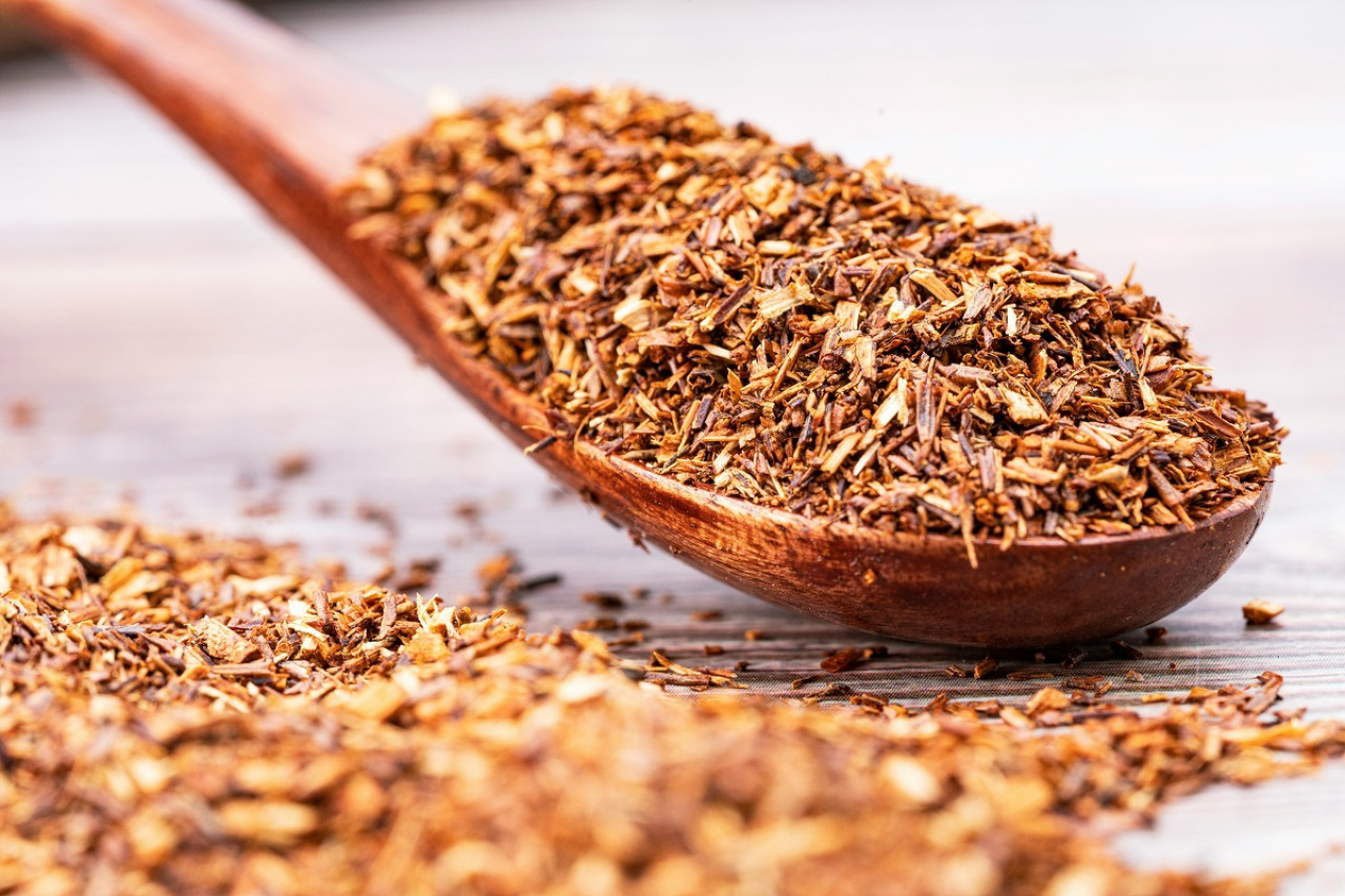 Los pueblos Khoi y San fueron los primeros en cosechar las ramas del rooibos. Foto: Unsplash.