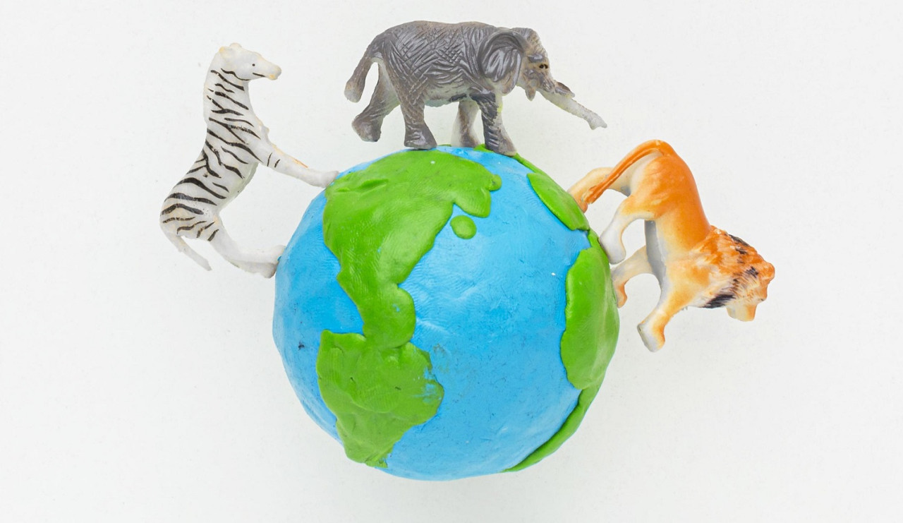 Mundo animal. Foto: Freepik