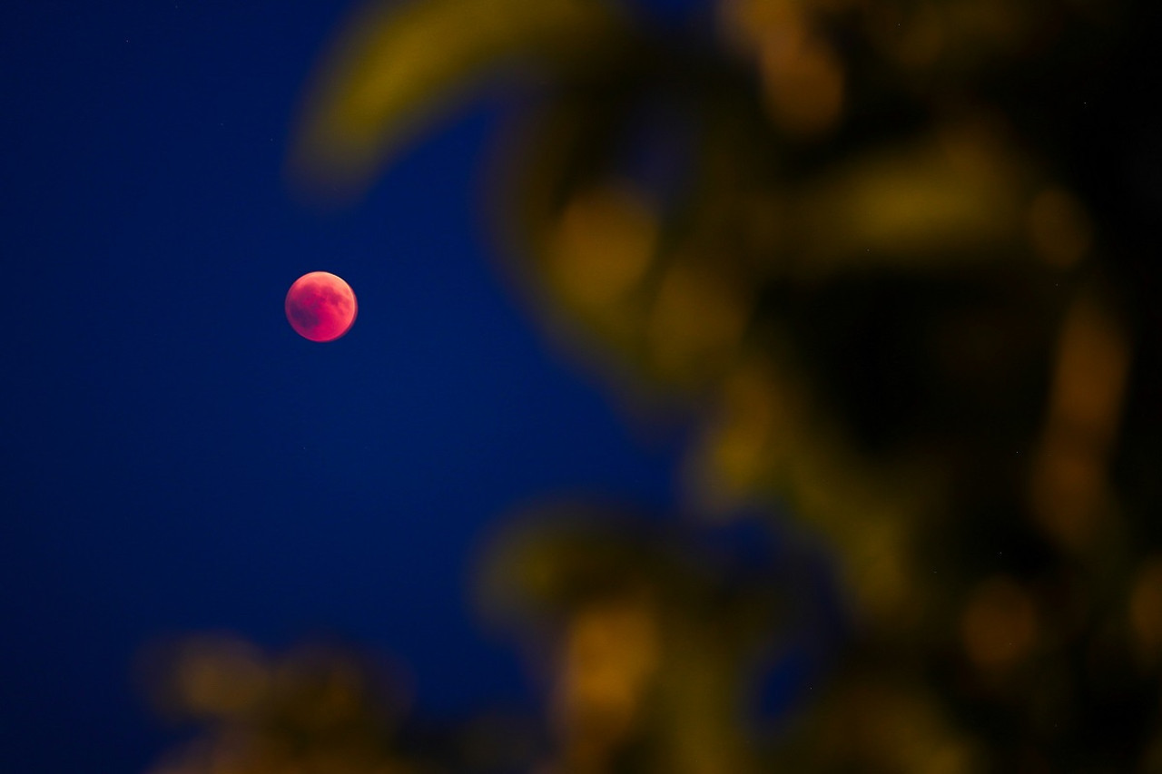 Luna de Fresa. Foto: Unsplash.