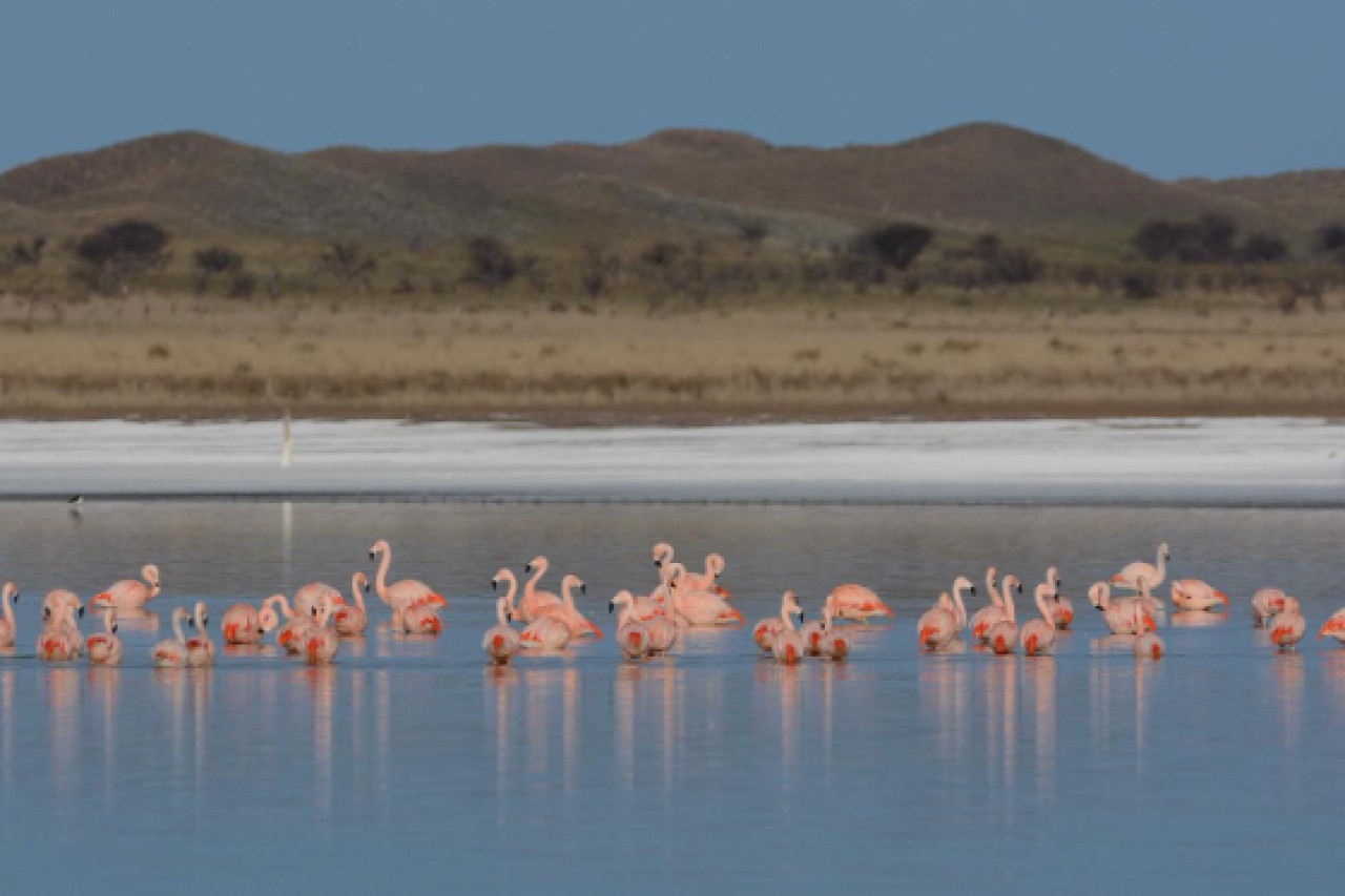Laguna de Utracán. Foto: Instagram / turismo.lapampa.