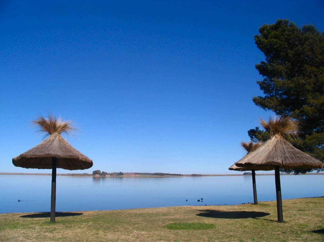 Localidad de Puán, en la provincia de Buenos Aires. Foto: Argentina Turismo.