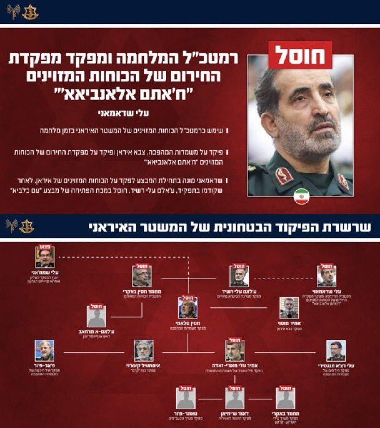 Israel anunció el asesinato de Ali Shadmani. Foto: IDF.