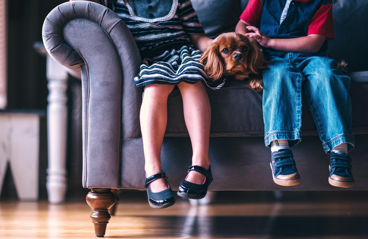 Perros, niños, mascotas. Foto: Pixabay.