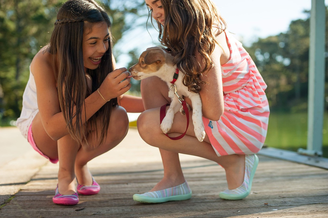 Perros, niños, mascotas. Foto: Pixabay.
