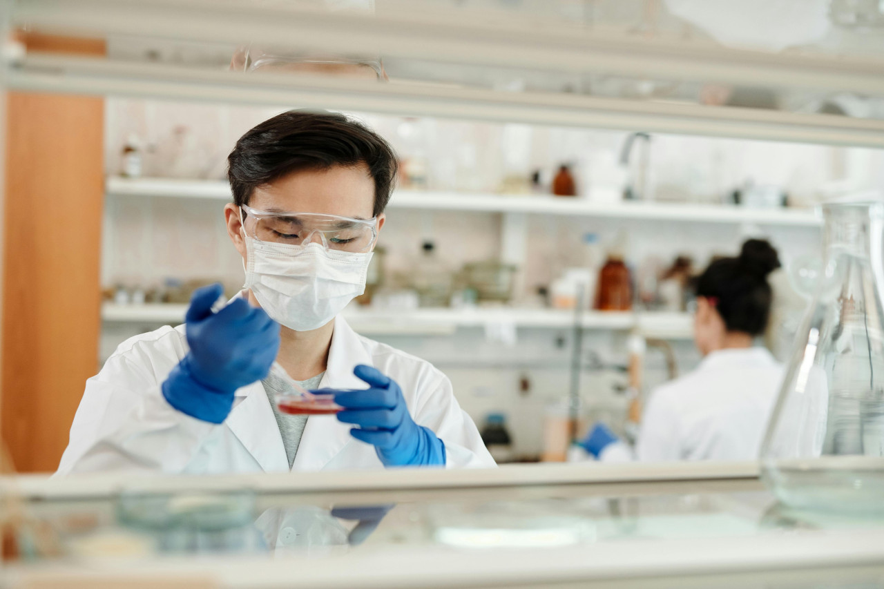 Laboratorio, estudio, investigación, medicina. Foto: Pexels.
