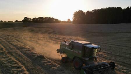 Granos ucranianos. Foto: Reuters.