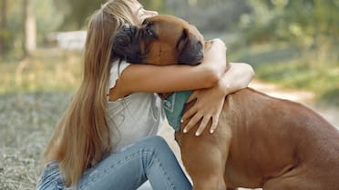 El gesto cariñoso que incomoda a los perros: de cuál se trata y las señales para entender su lenguaje corporal