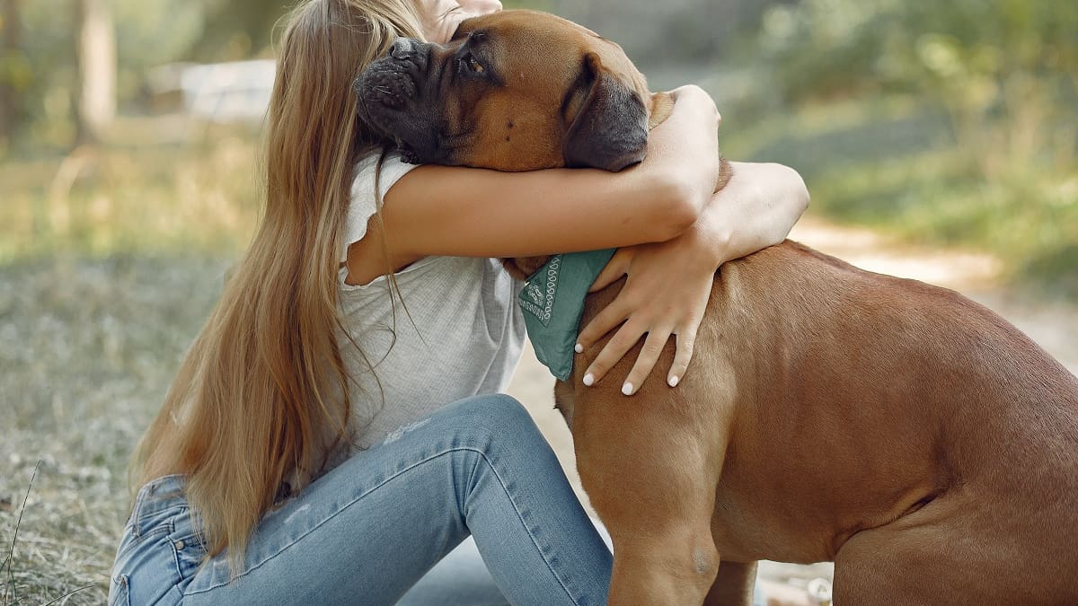 El gesto cariñoso que incomoda a los perros: de cuál se trata y las señales para entender su lenguaje corporal